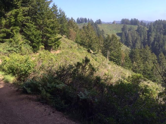 e9UqavEMSiml7aA8HstqQIG0fI8MH-AZwOfglBPDlgsbWcEI617qUjMMn6qF-QMSrZqu4RKtmmng_p9-di4I9d_MfNy7ZPsriH00T8Z0ZLMrB95Gce0yEuepBa-VecA9BWLmBUZRSic16haX3n1awhGkR8OziL3JxGenbG117JG1n0K6XRSrhxa289T9Xxac0_oz_KjjVs