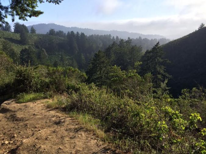 Final view over Half Moon Bay before the last stretch to the trailhead parking lot