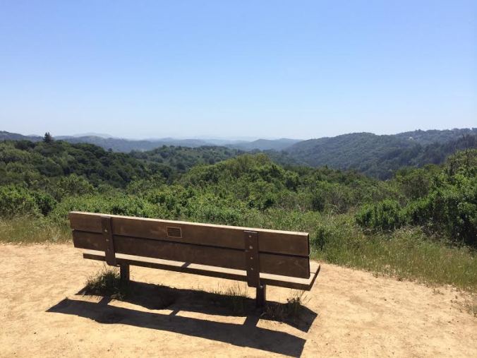 Afternoon rest spot on the East Ridge Trail, Redwood Regional Park.