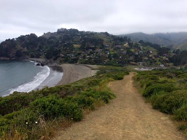 Quarter-mile into the hike, looking down at Muir Beach.