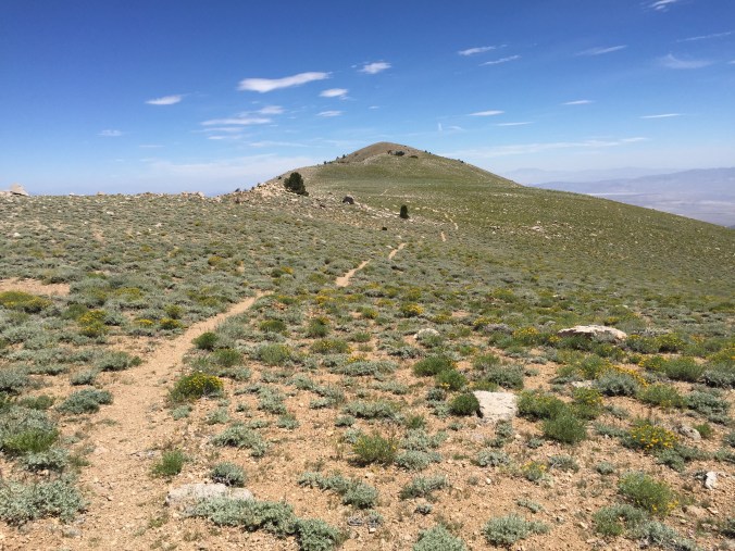 Returning through the meadow until dipping down to the left to Queen Mine.