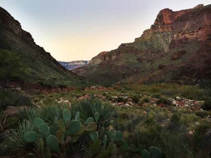 Sunrise slowly lit everything up around us at 6:30am. Here's looking back at the South Rim, around mile 10.
